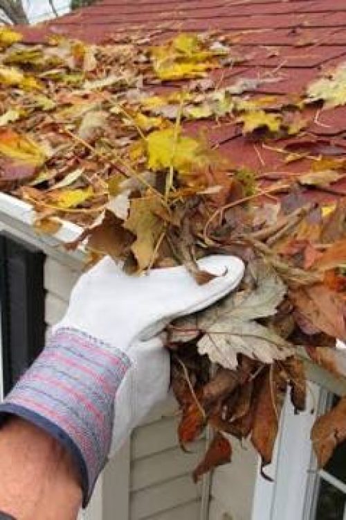 gutter cleaning