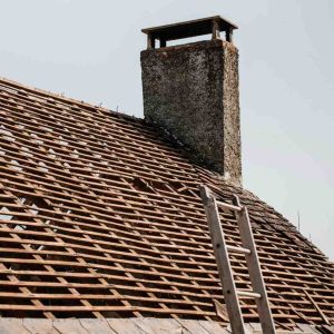 pexels-clement-proust-363898785-31763534