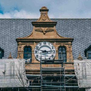 pexels-entero-17035282