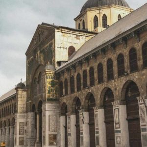 pexels-kareem-kareem-eddin-1877135-7595109