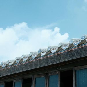 pexels-ocean-ashley-557025140-35677055